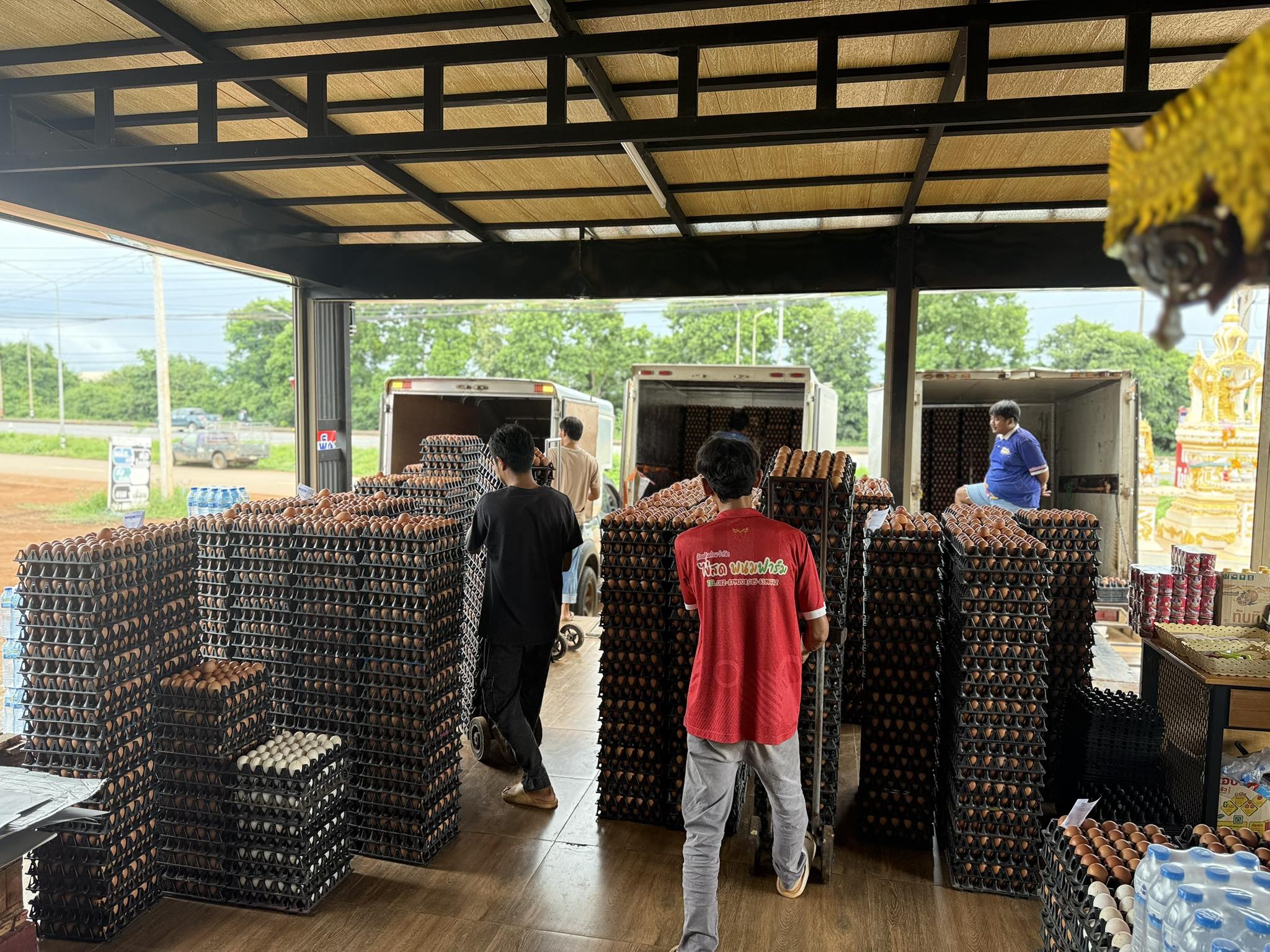 Workers loading egg crates onto delivery trucks